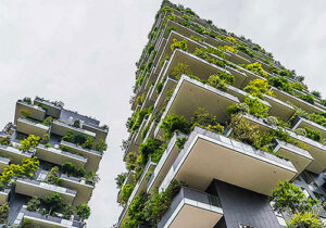 The Role of Green Construction in Sustainable Development